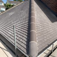 WhatsApp Image 2026-01-16 at 8.06.27 PM (1) - Copy