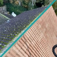 WhatsApp Image 2026-01-16 at 8.06.27 PM (2)