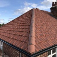 WhatsApp Image 2026-01-16 at 8.06.27 PM (3) - Copy