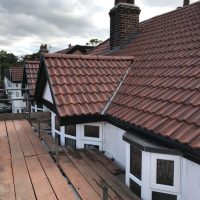 WhatsApp Image 2026-01-16 at 8.06.27 PM (7) - Copy